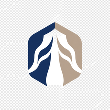 Boldvista Textiles logo